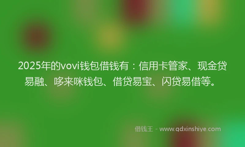 2025年的vovi钱包借钱有：信用卡管家、现金贷易融、哆来咪钱包、借贷易宝、闪贷易借等。