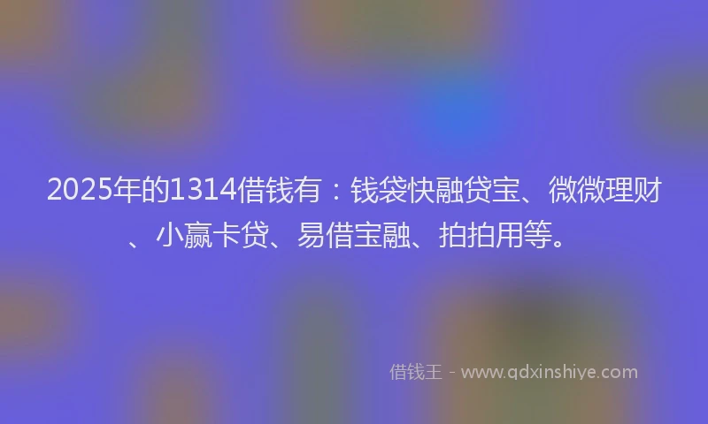 2025年的1314借钱有：钱袋快融贷宝、微微理财、小赢卡贷、易借宝融、拍拍用等。
