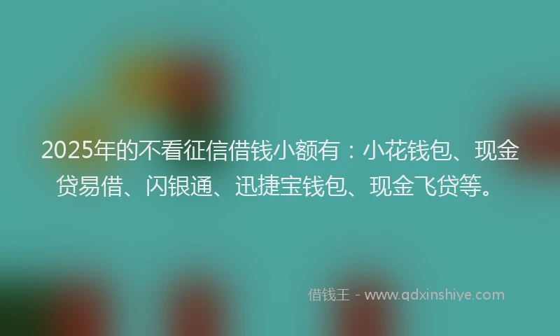 2025年的不看征信借钱小额有：小花钱包、现金贷易借、闪银通、迅捷宝钱包、现金飞贷等。