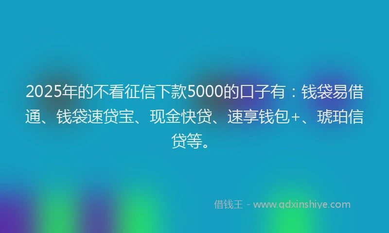 2025年的不看征信下款5000的口子有：钱袋易借通、钱袋速贷宝、现金快贷、速享钱包+、琥珀信贷等。