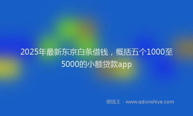 2025年最新东京白条借钱，概括五个1000至5000的小额贷款app