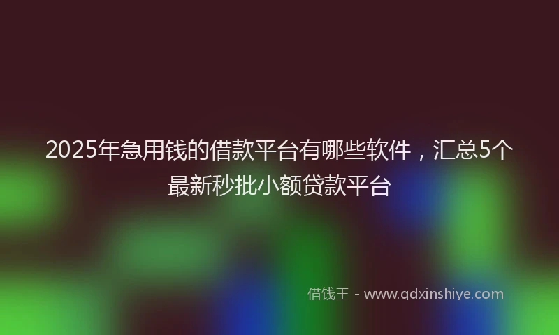 2025年急用钱的借款平台有哪些软件，汇总5个最新秒批小额贷款平台