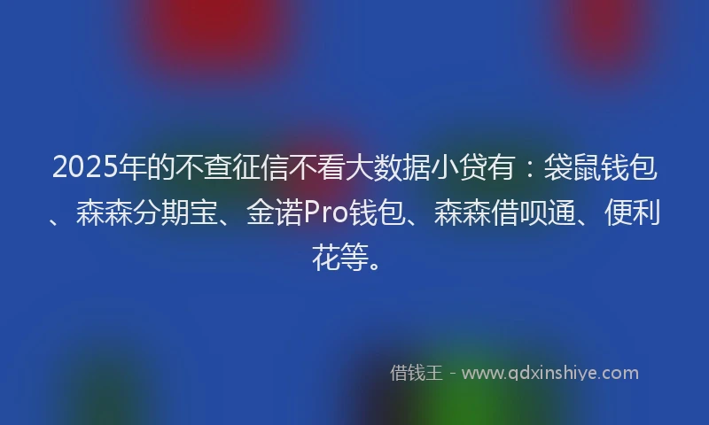 2025年的不查征信不看大数据小贷有：袋鼠钱包、森森分期宝、金诺Pro钱包、森森借呗通、便利花等。