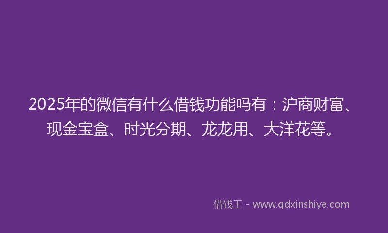 2025年的微信有什么借钱功能吗有：沪商财富、现金宝盒、时光分期、龙龙用、大洋花等。