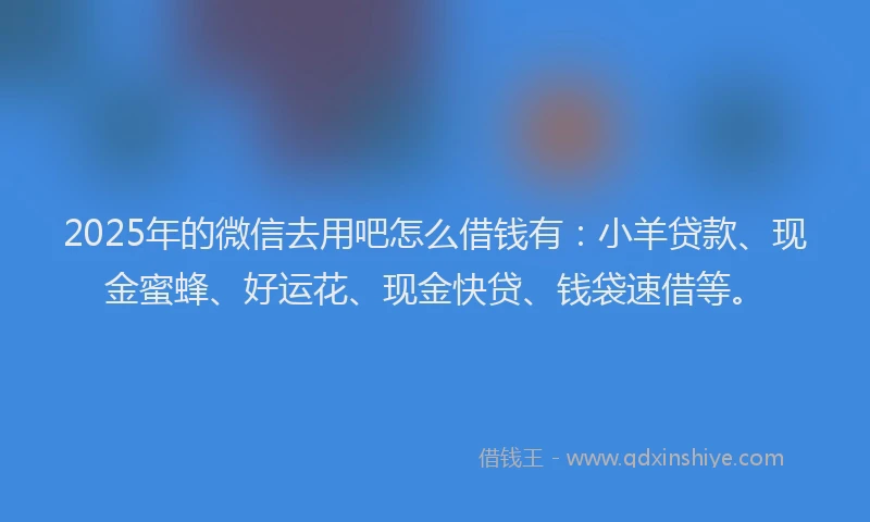 2025年的微信去用吧怎么借钱有：小羊贷款、现金蜜蜂、好运花、现金快贷、钱袋速借等。