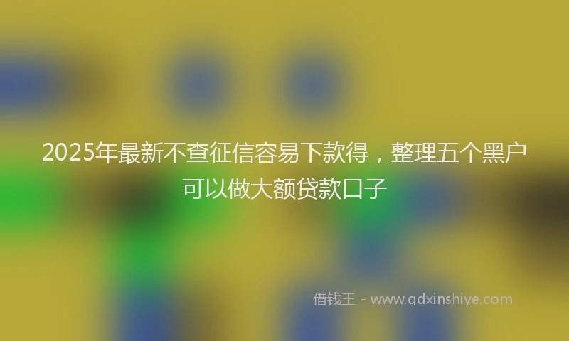 2025年最新不查征信容易下款得，整理五个黑户可以做大额贷款口子