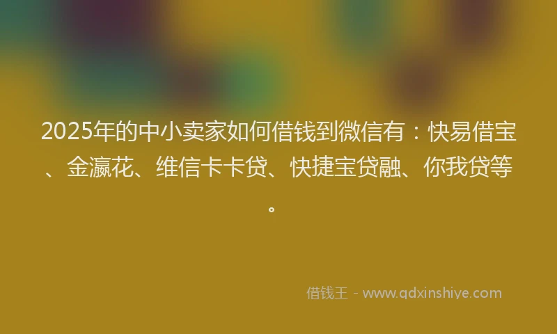 2025年的中小卖家如何借钱到微信有：快易借宝、金瀛花、维信卡卡贷、快捷宝贷融、你我贷等。