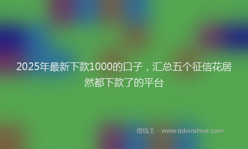 2025年最新下款1000的口子，汇总五个征信花居然都下款了的平台