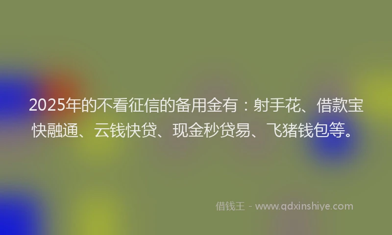 2025年的不看征信的备用金有：射手花、借款宝快融通、云钱快贷、现金秒贷易、飞猪钱包等。