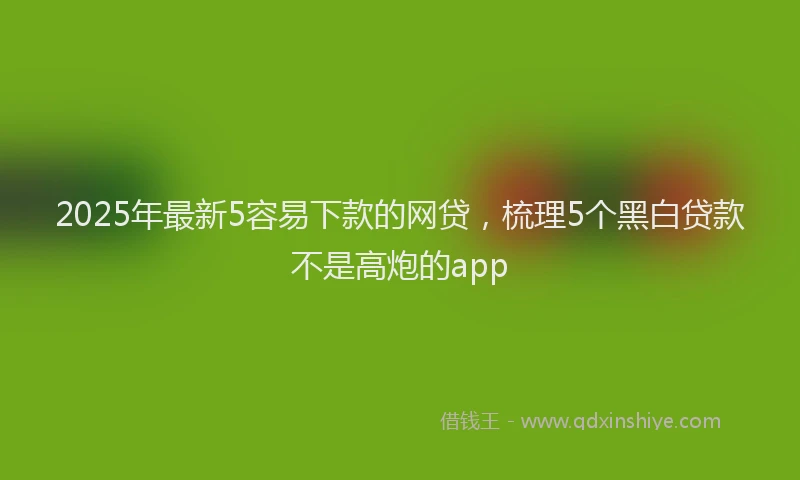 2025年最新5容易下款的网贷，梳理5个黑白贷款不是高炮的app