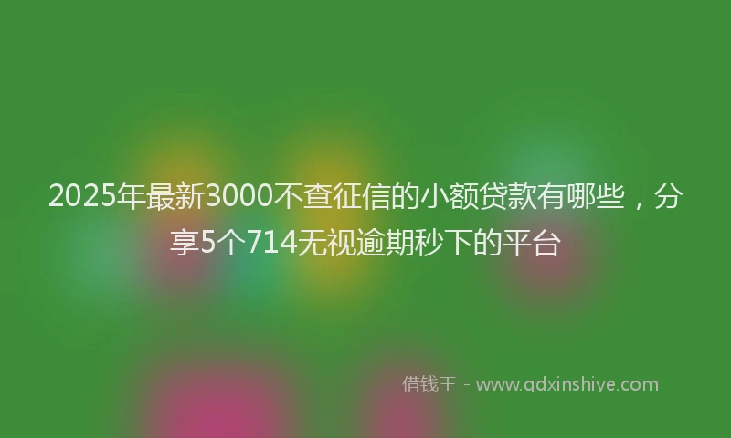 2025年最新3000不查征信的小额贷款有哪些，分享5个714无视逾期秒下的平台