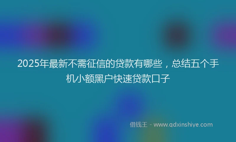 2025年最新不需征信的贷款有哪些，总结五个手机小额黑户快速贷款口子