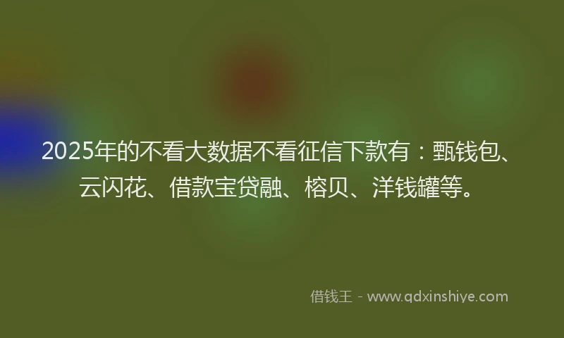 2025年的不看大数据不看征信下款有：甄钱包、云闪花、借款宝贷融、榕贝、洋钱罐等。