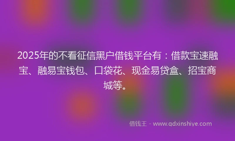 2025年的不看征信黑户借钱平台有：借款宝速融宝、融易宝钱包、口袋花、现金易贷盒、招宝商城等。