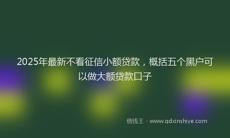 2025年最新不看征信小额贷款，概括五个黑户可以做大额贷款口子