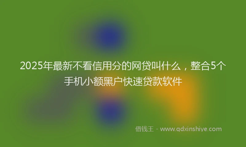 2025年最新不看信用分的网贷叫什么，整合5个手机小额黑户快速贷款软件