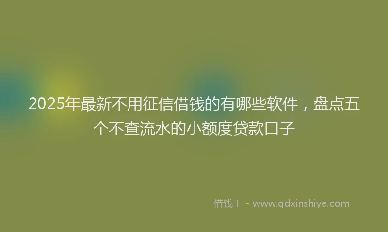 2025年最新不用征信借钱的有哪些软件，盘点五个不查流水的小额度贷款口子