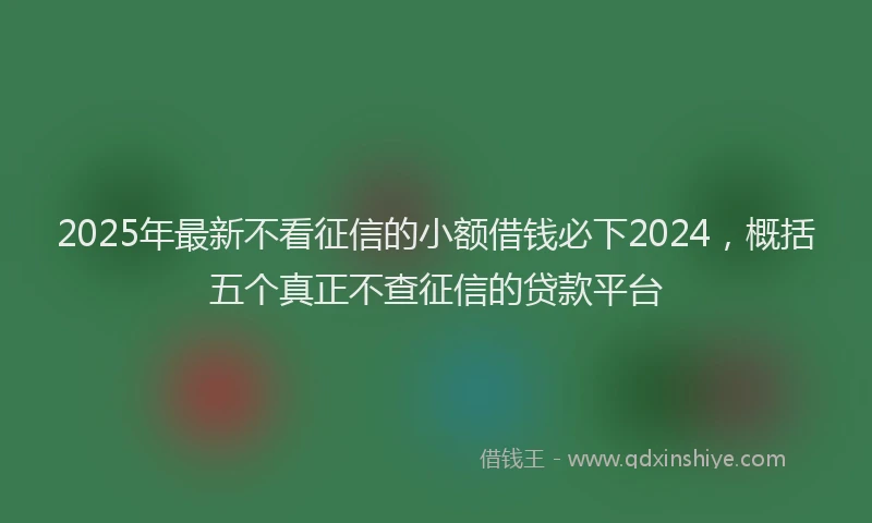 2025年最新不看征信的小额借钱必下2024，概括五个真正不查征信的贷款平台