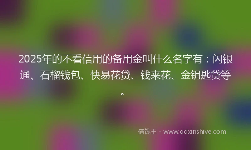 2025年的不看信用的备用金叫什么名字有：闪银通、石榴钱包、快易花贷、钱来花、金钥匙贷等。