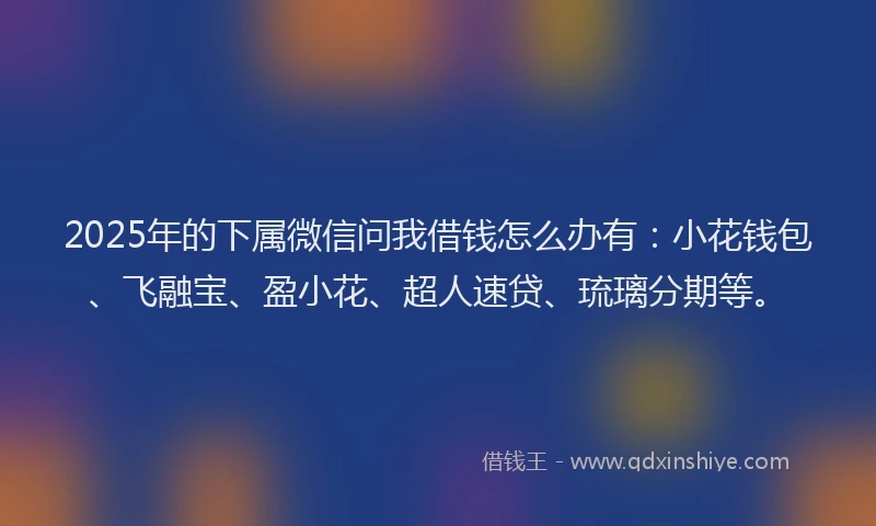 2025年的下属微信问我借钱怎么办有：小花钱包、飞融宝、盈小花、超人速贷、琉璃分期等。
