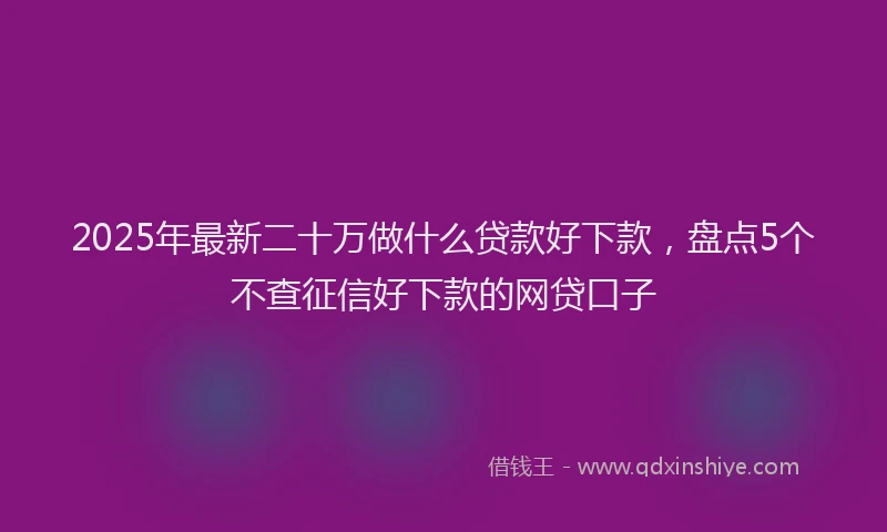 2025年最新二十万做什么贷款好下款，盘点5个不查征信好下款的网贷口子