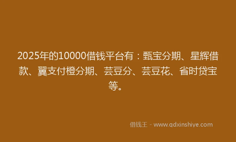 2025年的10000借钱平台有：甄宝分期、星辉借款、翼支付橙分期、芸豆分、芸豆花、省时贷宝等。