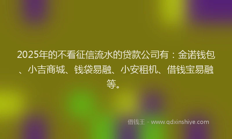 2025年的不看征信流水的贷款公司有：金诺钱包、小吉商城、钱袋易融、小安租机、借钱宝易融等。