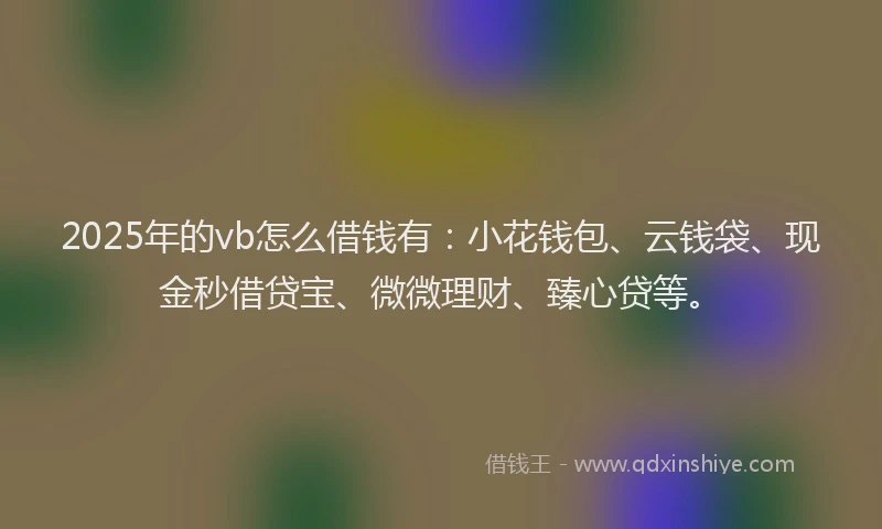 2025年的vb怎么借钱有：小花钱包、云钱袋、现金秒借贷宝、微微理财、臻心贷等。