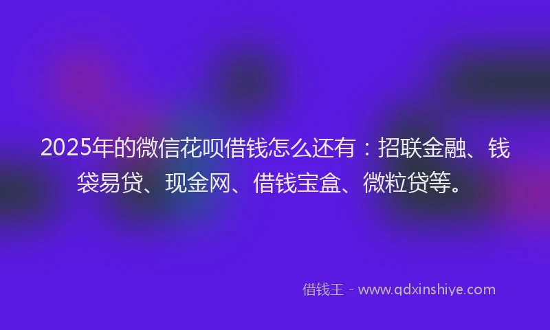 2025年的微信花呗借钱怎么还有：招联金融、钱袋易贷、现金网、借钱宝盒、微粒贷等。