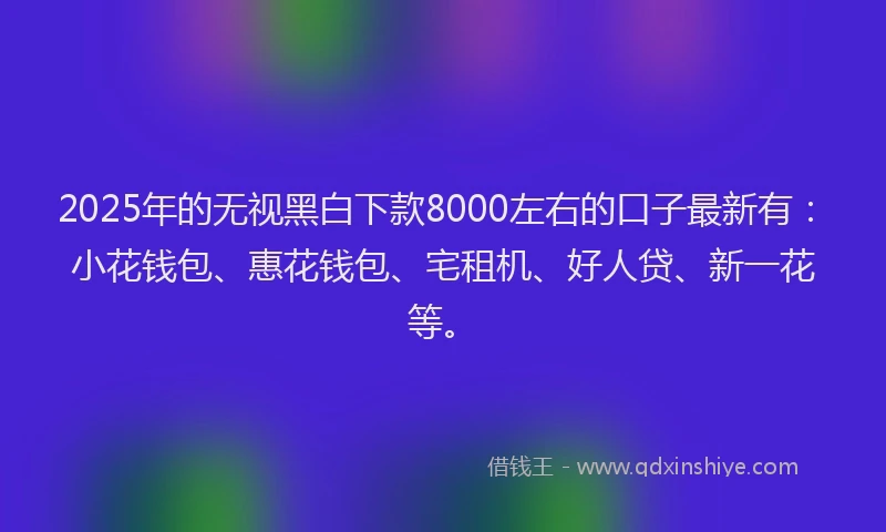 2025年的无视黑白下款8000左右的口子最新有：小花钱包、惠花钱包、宅租机、好人贷、新一花等。