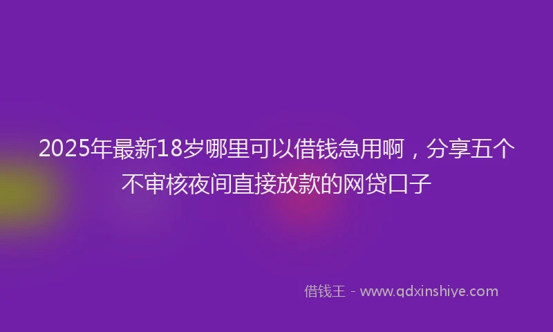 2025年最新18岁哪里可以借钱急用啊，分享五个不审核夜间直接放款的网贷口子