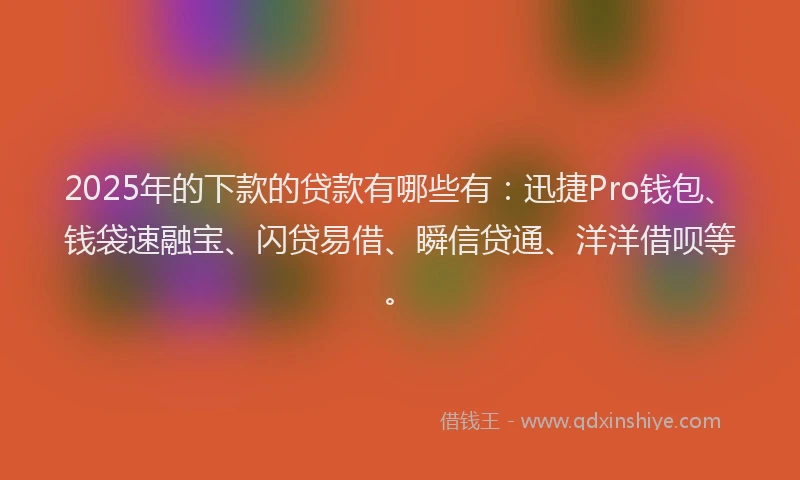 2025年的下款的贷款有哪些有：迅捷Pro钱包、钱袋速融宝、闪贷易借、瞬信贷通、洋洋借呗等。
