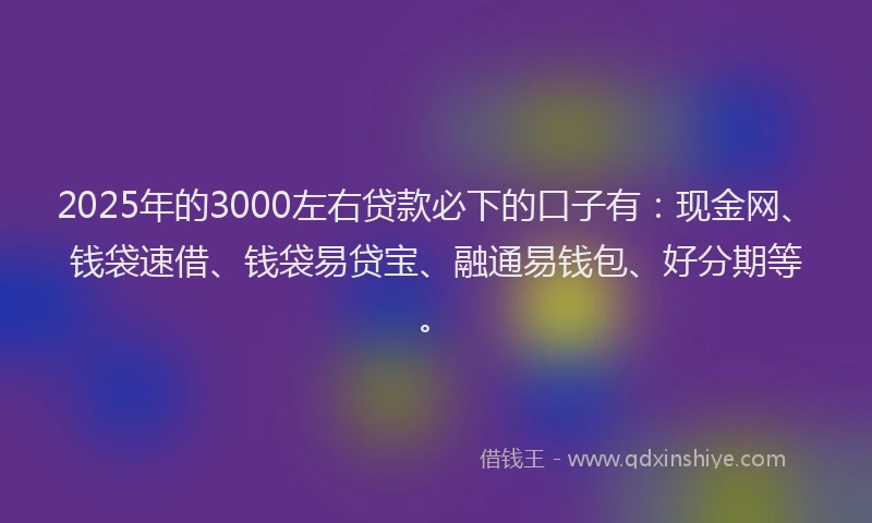 2025年的3000左右贷款必下的口子有：现金网、钱袋速借、钱袋易贷宝、融通易钱包、好分期等。