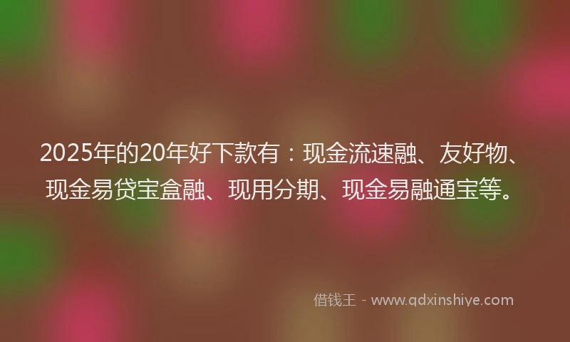 2025年的20年好下款有：现金流速融、友好物、现金易贷宝盒融、现用分期、现金易融通宝等。