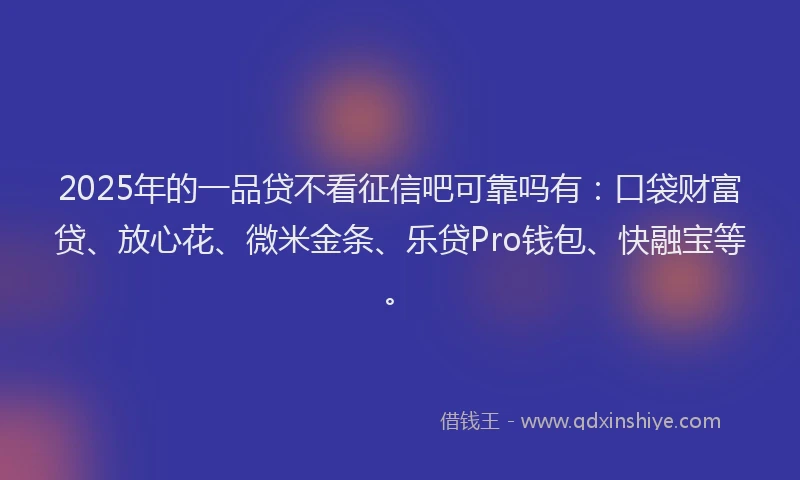 2025年的一品贷不看征信吧可靠吗有：口袋财富贷、放心花、微米金条、乐贷Pro钱包、快融宝等。