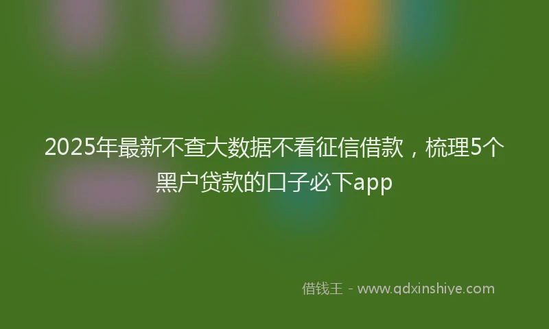 2025年最新不查大数据不看征信借款，梳理5个黑户贷款的口子必下app