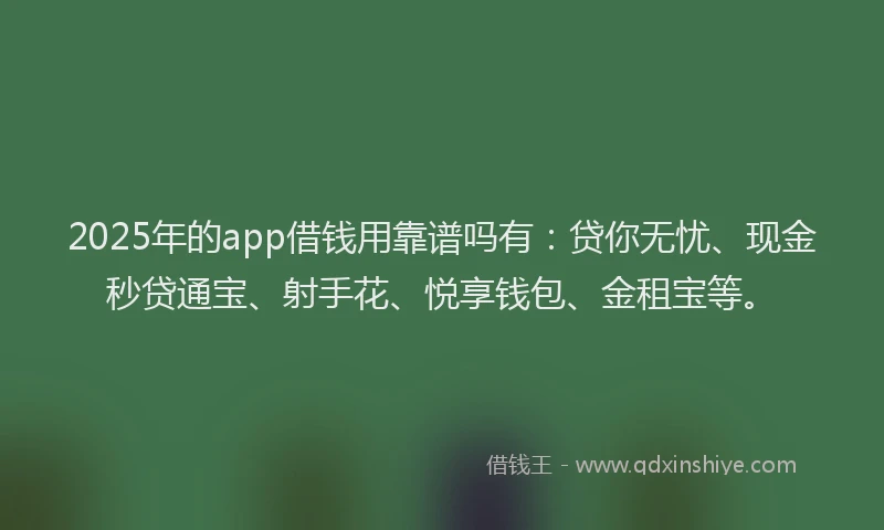 2025年的app借钱用靠谱吗有：贷你无忧、现金秒贷通宝、射手花、悦享钱包、金租宝等。