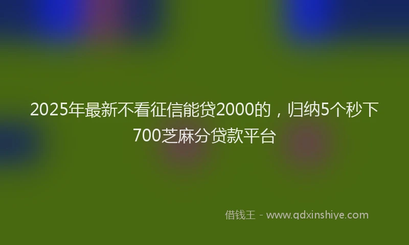 2025年最新不看征信能贷2000的，归纳5个秒下700芝麻分贷款平台