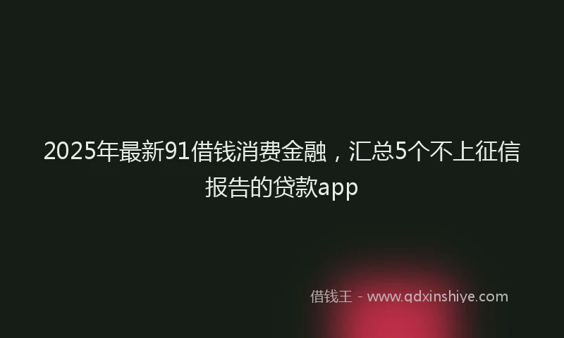 2025年最新91借钱消费金融，汇总5个不上征信报告的贷款app