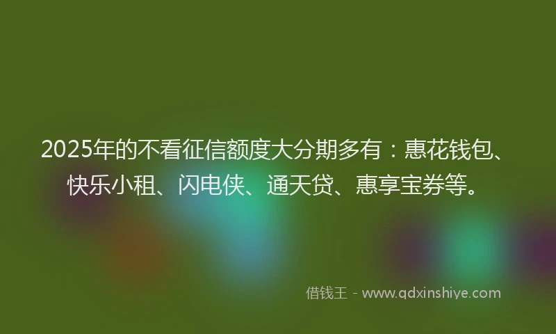 2025年的不看征信额度大分期多有：惠花钱包、快乐小租、闪电侠、通天贷、惠享宝券等。