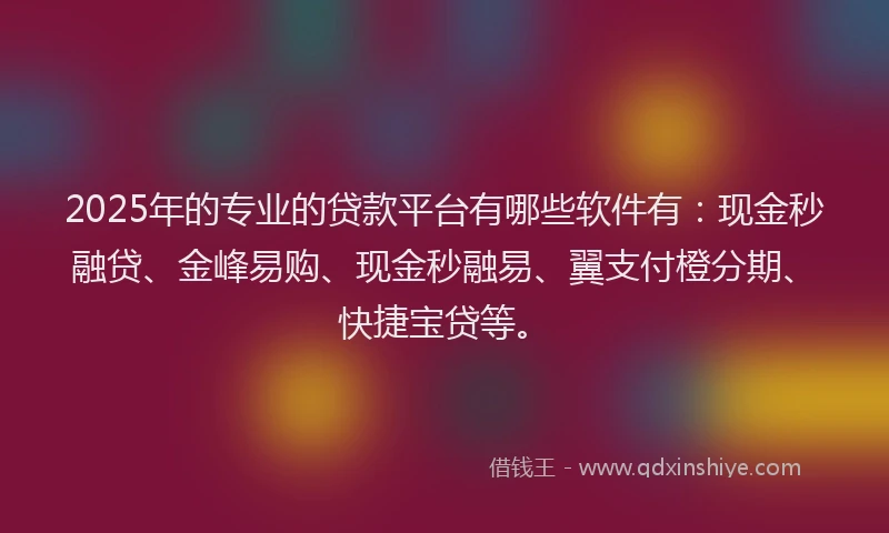2025年的专业的贷款平台有哪些软件有：现金秒融贷、金峰易购、现金秒融易、翼支付橙分期、快捷宝贷等。
