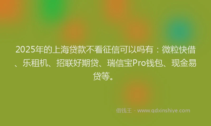 2025年的上海贷款不看征信可以吗有：微粒快借、乐租机、招联好期贷、瑞信宝Pro钱包、现金易贷等。