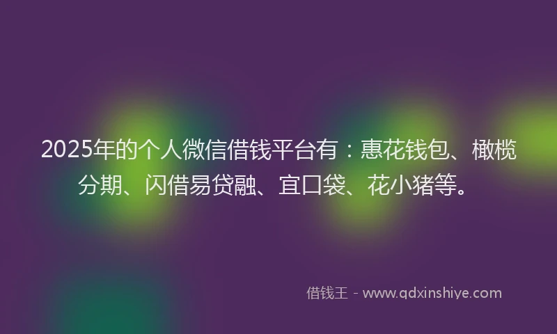 2025年的个人微信借钱平台有：惠花钱包、橄榄分期、闪借易贷融、宜口袋、花小猪等。