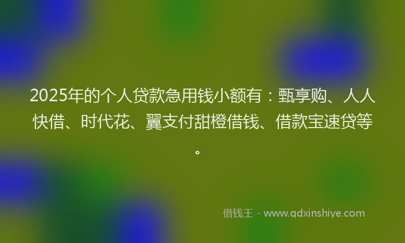 2025年的个人贷款急用钱小额有：甄享购、人人快借、时代花、翼支付甜橙借钱、借款宝速贷等。