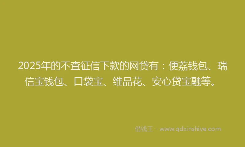2025年的不查征信下款的网贷有：便荔钱包、瑞信宝钱包、口袋宝、维品花、安心贷宝融等。