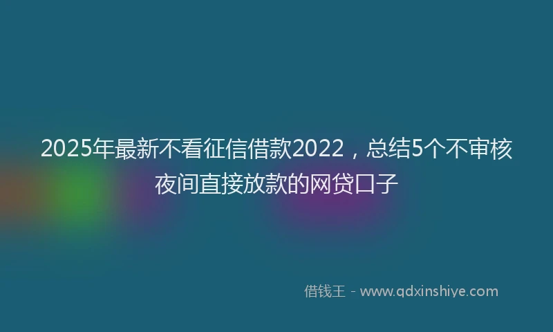 2025年最新不看征信借款2022，总结5个不审核夜间直接放款的网贷口子