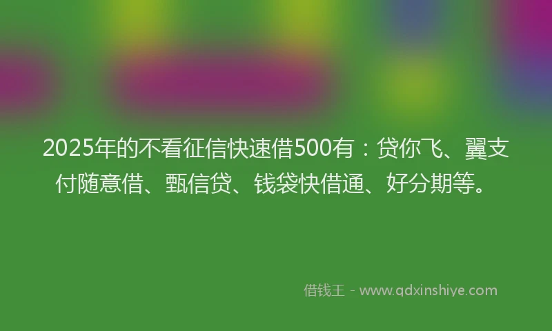 2025年的不看征信快速借500有：贷你飞、翼支付随意借、甄信贷、钱袋快借通、好分期等。