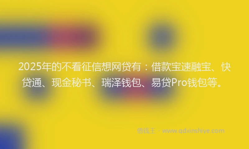 2025年的不看征信想网贷有：借款宝速融宝、快贷通、现金秘书、瑞泽钱包、易贷Pro钱包等。