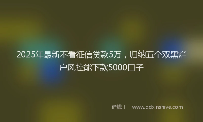 2025年最新不看征信贷款5万，归纳五个双黑烂户风控能下款5000口子