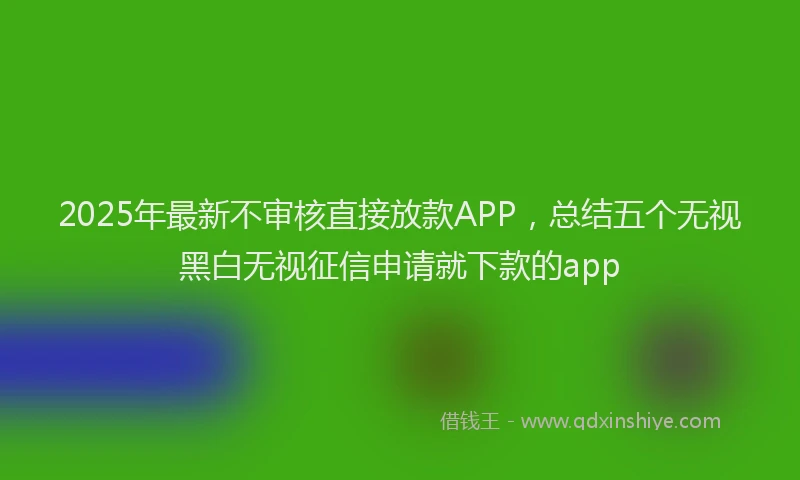 2025年最新不审核直接放款APP，总结五个无视黑白无视征信申请就下款的app